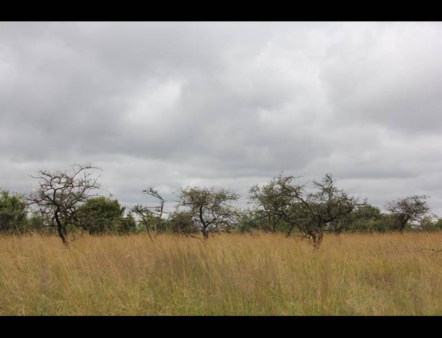 23HA VACANT LAND FOR SALE IN BENDOR